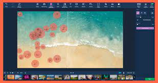 Movavi Photo Editor for Mac 5 Key (Διαρκής διάρκεια ζωής / 1 Mac)