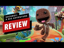 Sackboy: Steam CD Key