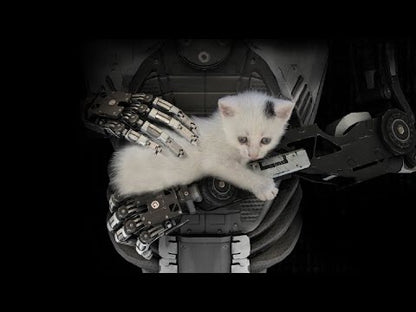 The Talos Principle 1 + 2 Bundle Λογαριασμός Steam