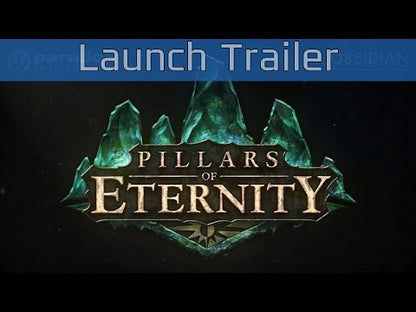 Pillars of Eternity - Έκδοση Ήρωα Steam CD Key