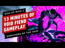 Risk of Rain 2: Survivors of the Void Steam CD Key
