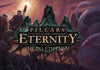 Pillars of Eternity - Έκδοση Ήρωα Steam CD Key