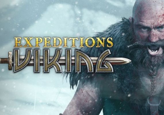 Αποστολές: Viking Steam CD Key